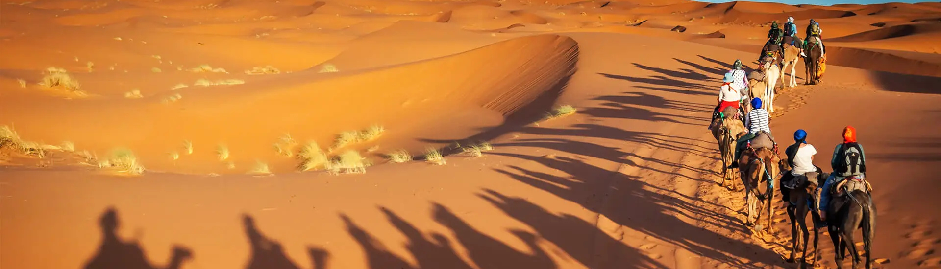 The Great African Tour with Namibian Desert Tour Bestination Holidays