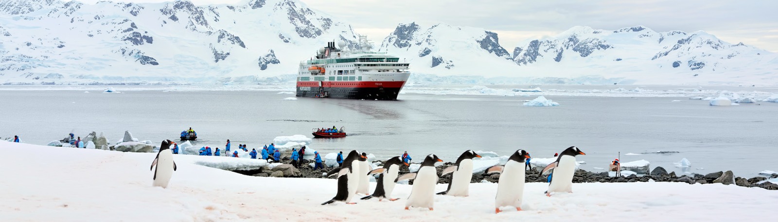 Antarctica Fly Cruise Expedition Tour by Bestination Holidays