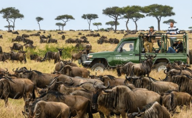 Bestination Holidays The Great Migration Kenya