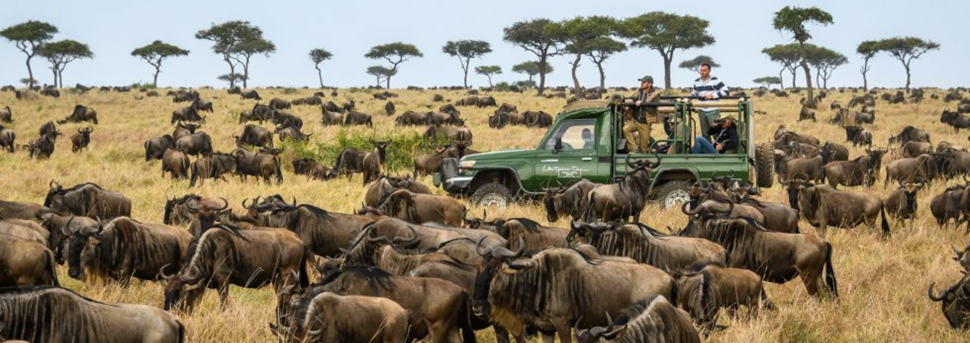 Bestination Holidays The Great Migration Kenya