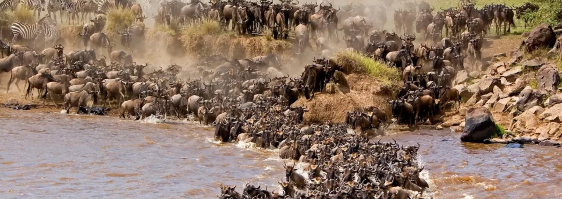 BEstination Holidays The Great Migration Safari Kenya Tanzania