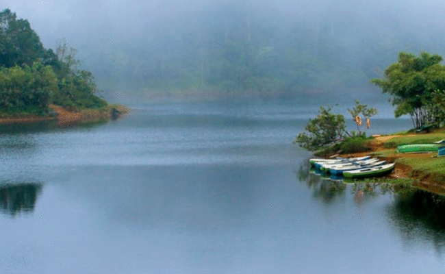 Thekkady Gavi Kambam tour from Kochi by Bestinaton Holidays