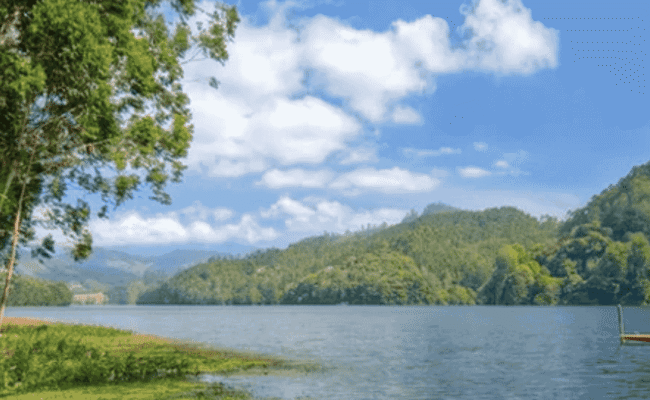 Munnar Tour by Bestination Holidays