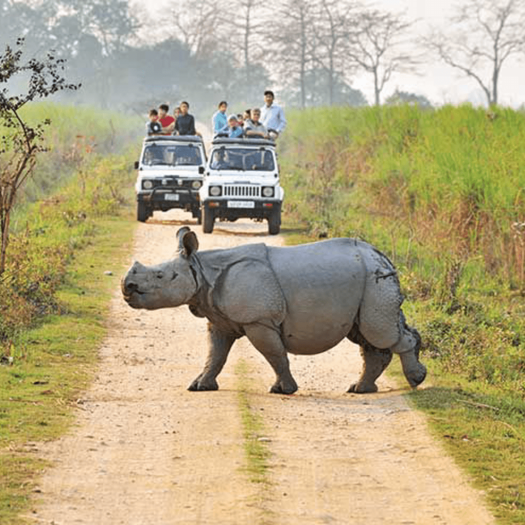 Guwahati, Shillong, Cherrapunjee, Mawlynnong, Dawki, Kaziranga, Guwahati Tour by Bestination Holidays