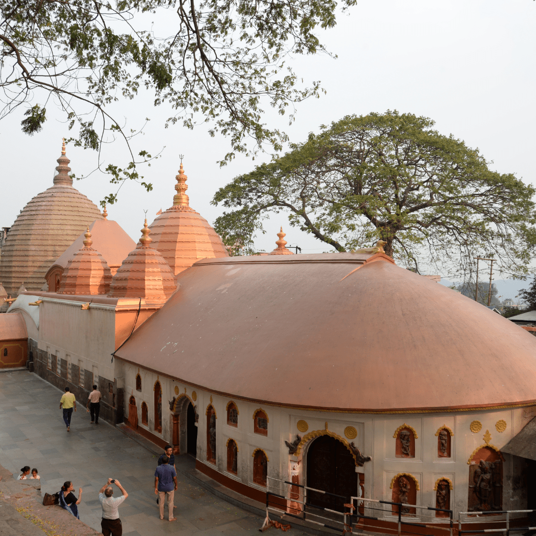 Guwahati, Shillong, Cherrapunjee, Mawlynnong, Dawki, Kaziranga, Guwahati Tour by Bestination Holidays