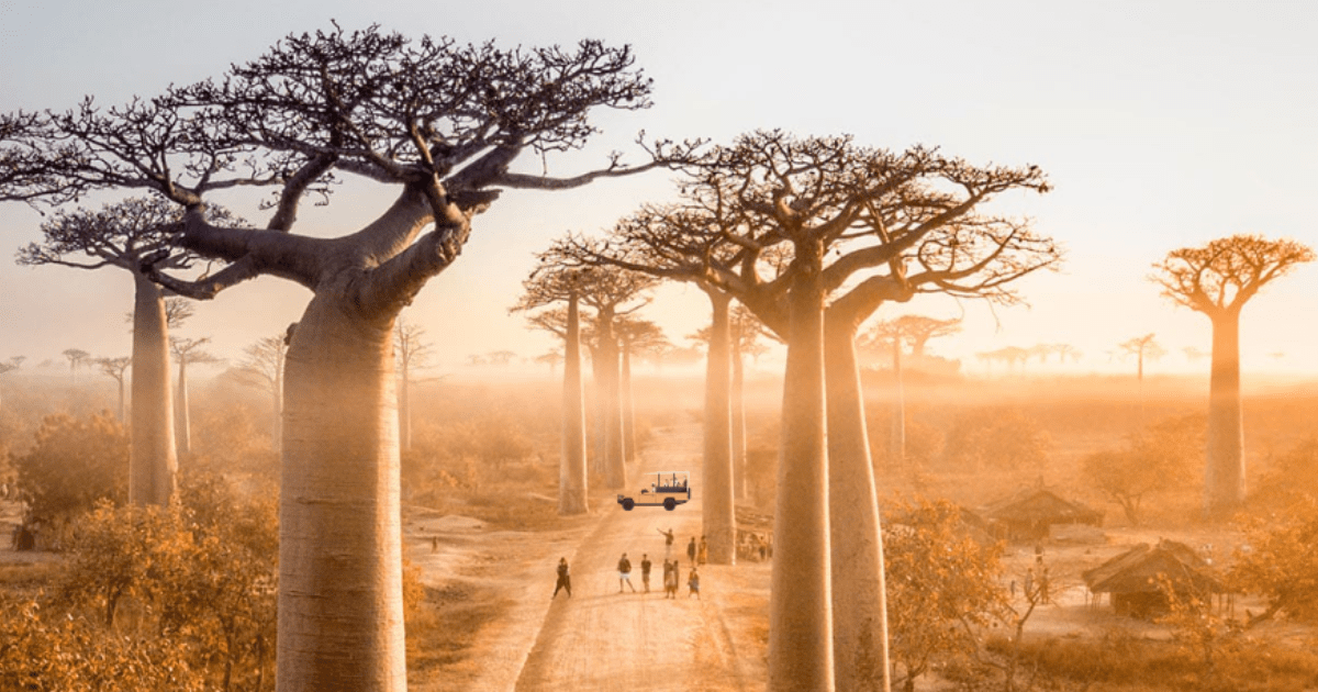 Madagascar Tour by Bestination Holidays