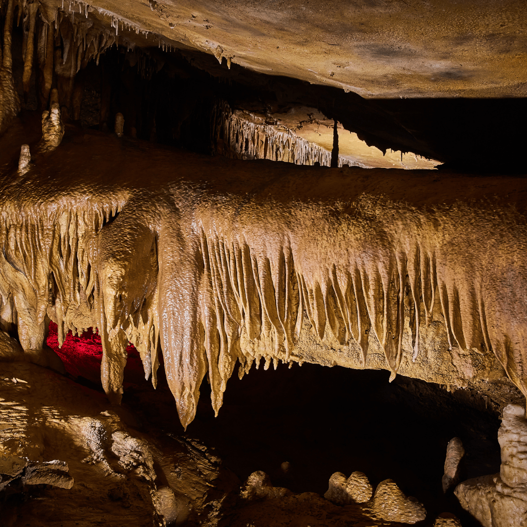 African Tour by Bestination Holidays