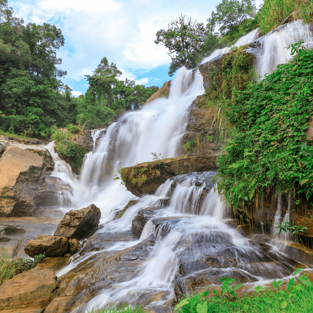 Munnar Tour by Bestination Holidays