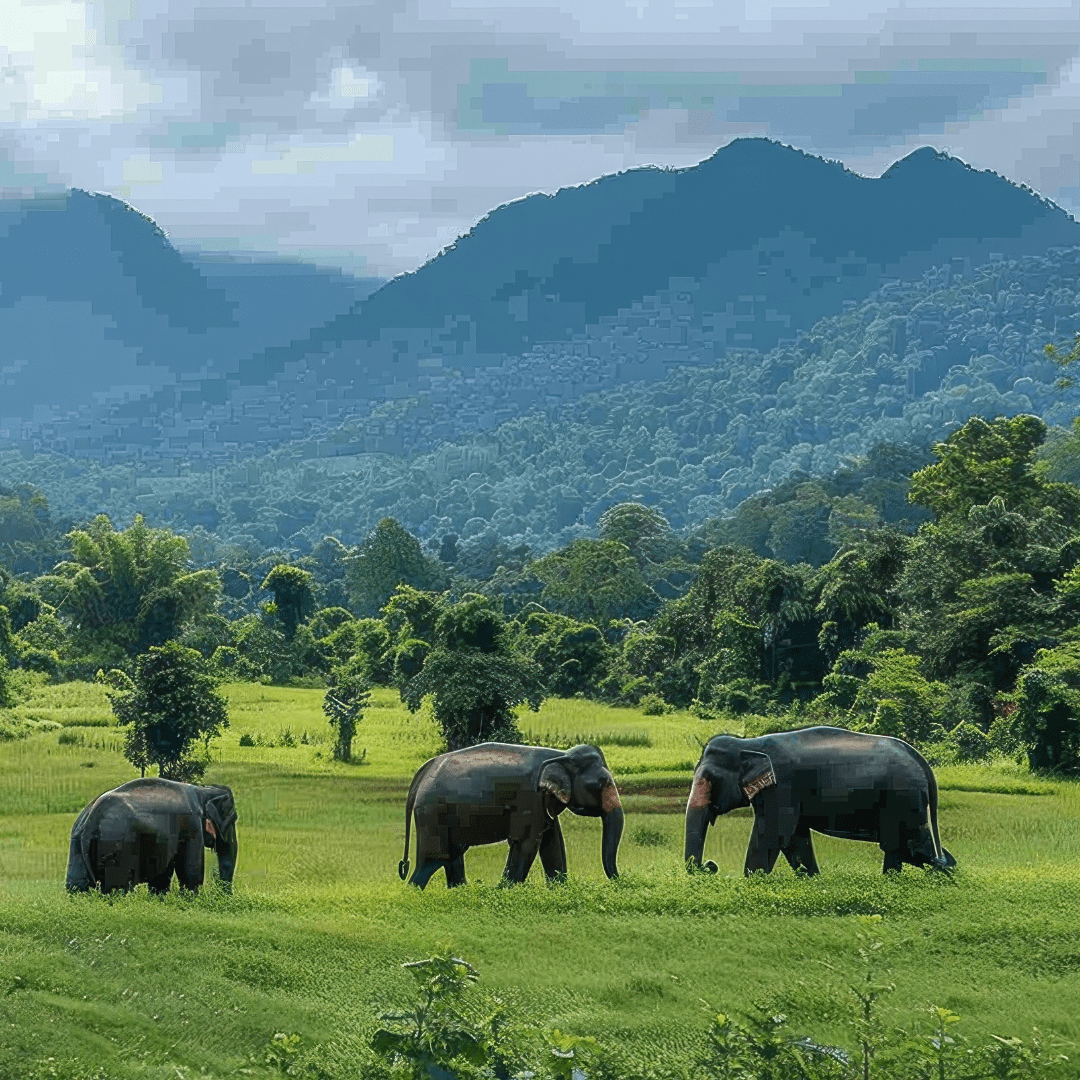 Thekkady, Gavi and Kambam Tour by Bestination Holidays