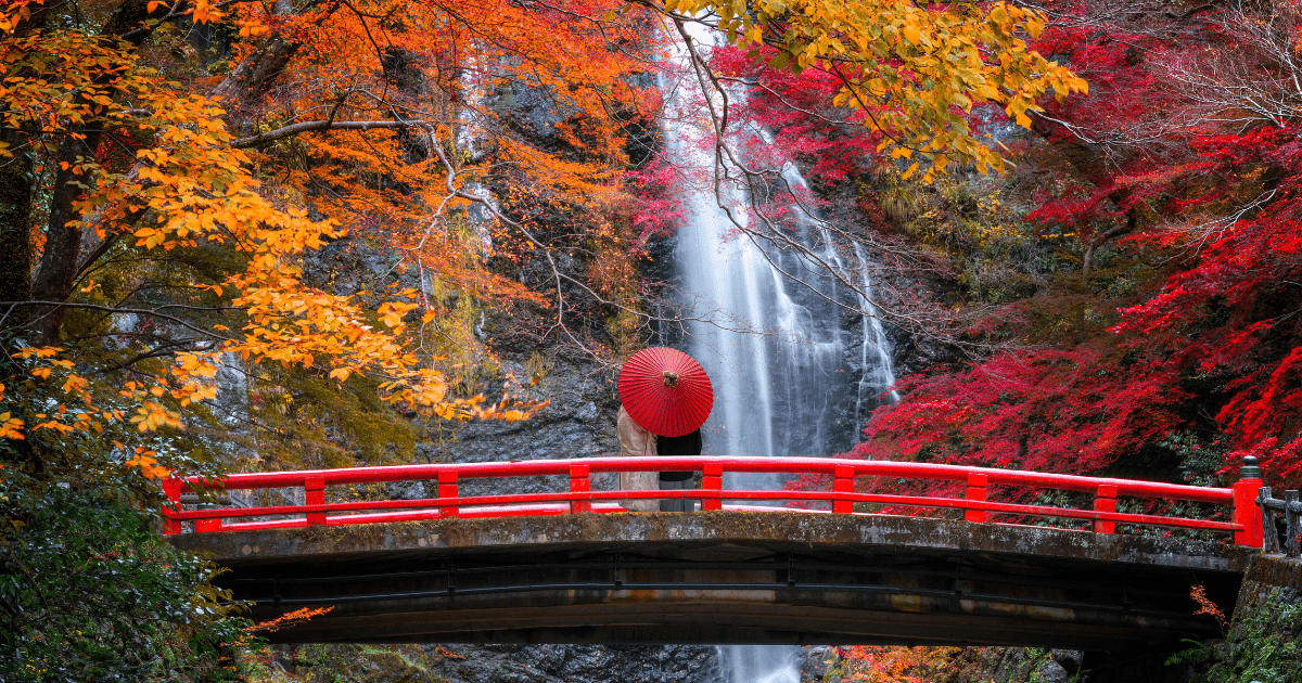 Japan Autumn Special Tour by Bestination Holidays