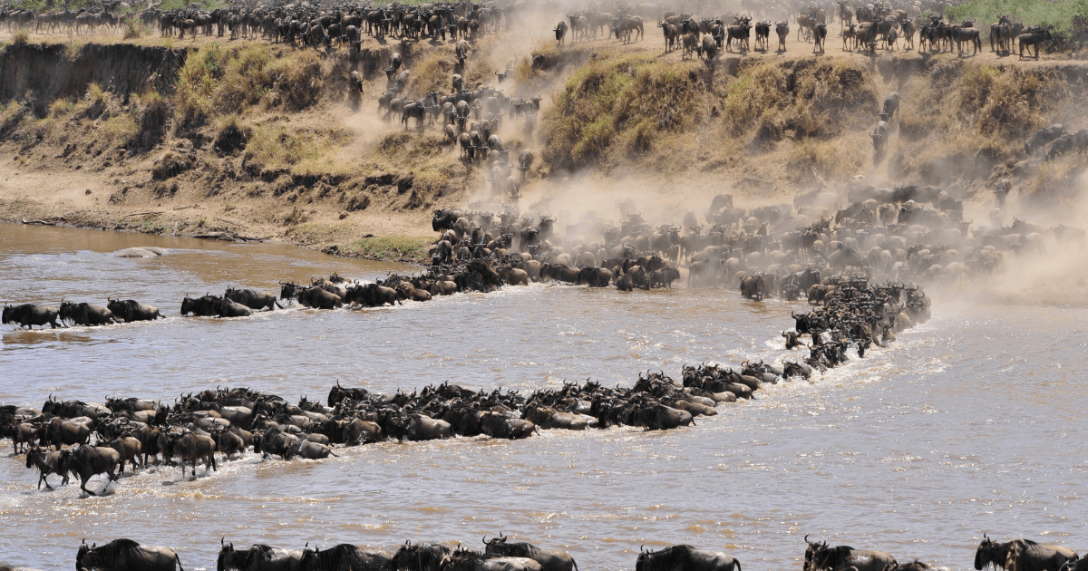 Kenya Tour by Bestinaiton Holidays