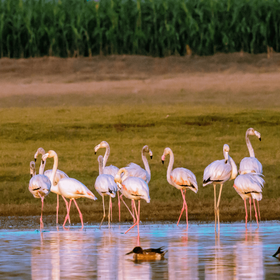 Kenya Tour by Bestinaiton Holidays