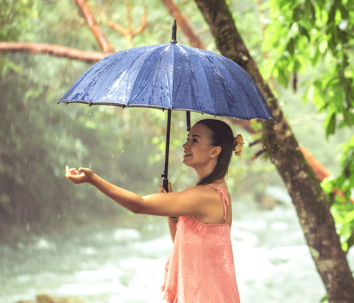 Bestination Holidays Monsoon Tours