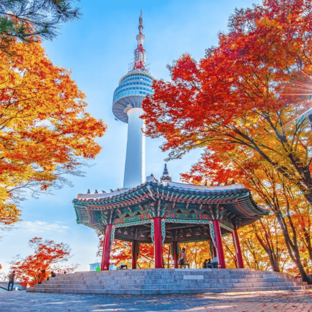 South Korea | Taiwan Tour | Bestination Holdiays | Kochi | Coimbatore | Bangalore