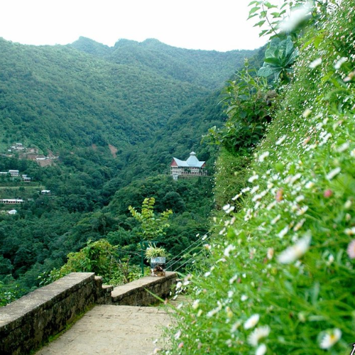 Nagaland Tour by Bestination Holidays