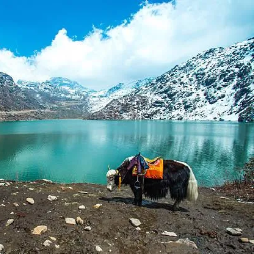 Sikkim Tour by Bestination Holidays