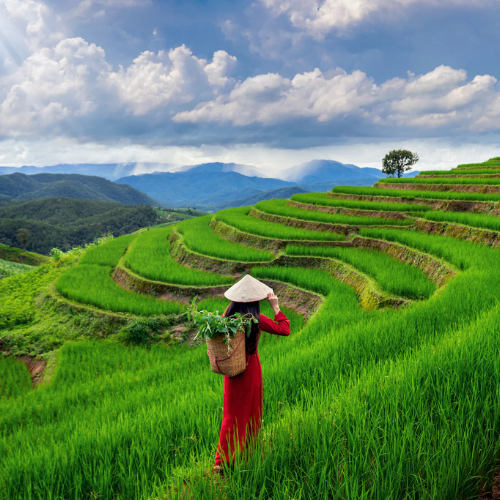 Assam Tour by Bestination Holidays